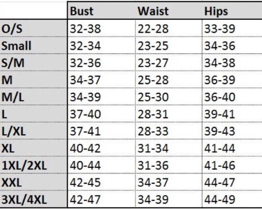 Size chart for Playboy Bunny sheer mesh bodysuit showing bust, waist, and hip measurements.