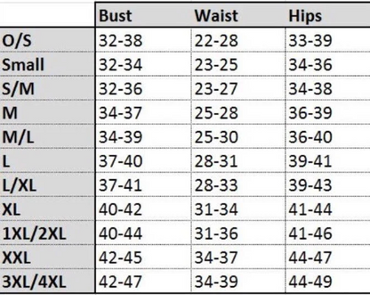 Size chart for Playboy Bunny sheer mesh bodysuit showing bust, waist, and hip measurements.